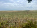 Images for Littlehales Road, Chetwynd Aston