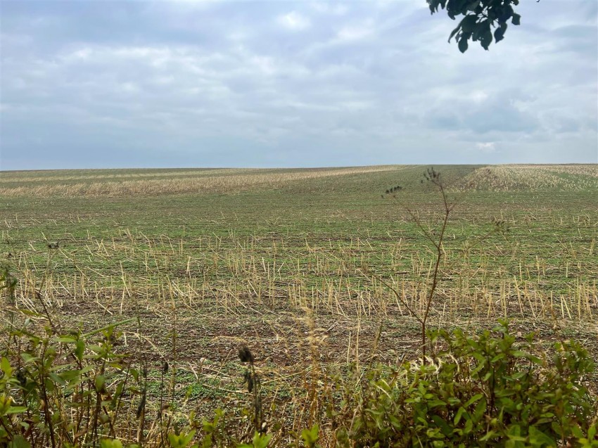 Images for Littlehales Road, Chetwynd Aston