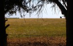 Images for Manor View, Cherrington