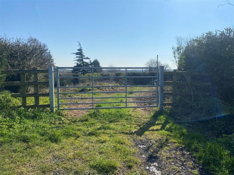 View Full Details for Newport